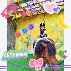 -宝燕乐园(闵行旗舰店)