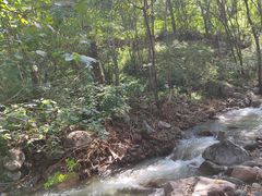 -玉渡山自然风景区