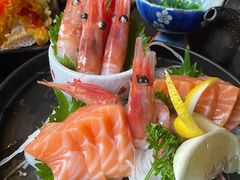 -春草居酒屋·晴子の店