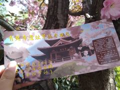 -西安青龙寺遗址景区