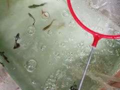 -MCJ-花店(西罗园店)