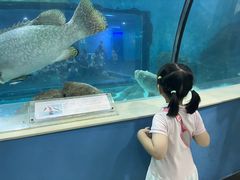 -苏州海洋馆