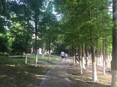 -长广溪湿地公园