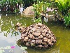 -深圳仙湖植物园