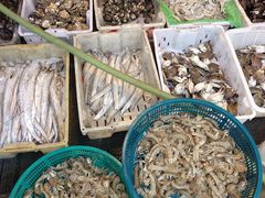 -芦潮港集贸市场