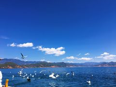 -丽江泸沽湖景区