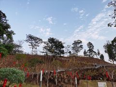-白石龙音乐公园