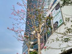 -演武大桥观景平台