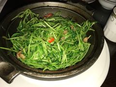 有机豆苗-聪宏诺桑主题藏餐吧(唐道637店)