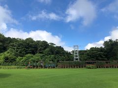 -济州森林小火车生态公园