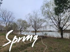 -南湖湿地公园