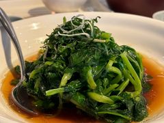 高山豆苗-上海和平饭店龙凤厅 Dragon Phoenix