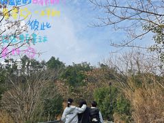 -青龙山国家森林公园