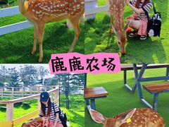 -盈香心动乐园