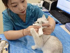-美迦爱-牙专科·兔科·骨科诊疗中心(北苑店)