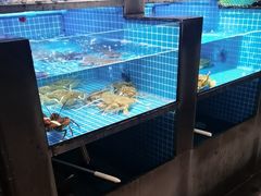 -大鹏饭店·金陵家宴(奥体中心店)