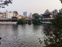 -荔湾湖公园