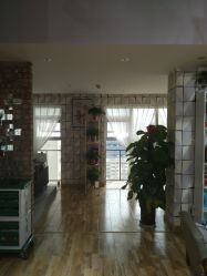 -明洞造型精品烫染