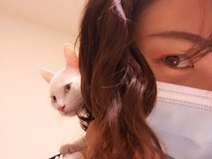 -谐和益家动物医院·免疫绝育·血液透析·宠保定点医院(高新伊藤分院)