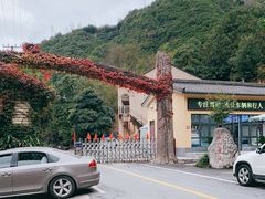 -黑河国家森林公园