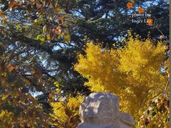 -北京石刻艺术博物馆(五塔寺)