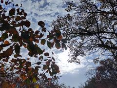 -龙洞风景区-藏龙涧