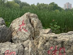 -太阳宫公园