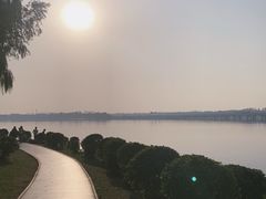 -丁香湖公园