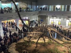 -自贡恐龙博物馆