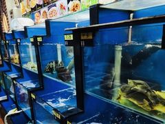 水产区-小天妃海鲜酒楼(西马庄店)