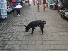 -乌布德传统市场