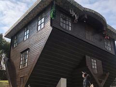 -金山农民画村-枫泾波兰倒置屋