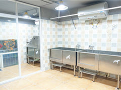 -神采飞扬宠物美容(香港路店)