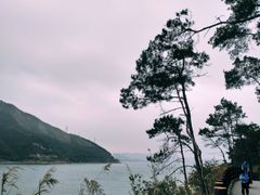 -羚羊峡古栈道森林公园