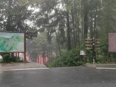 -莫干山风景区
