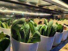 -上隐水产海鲜刺身自助餐(淮海百盛店)