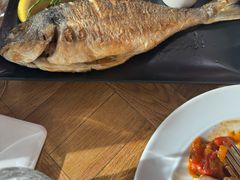 -NORDSEE Frankfurt Fisch Franke