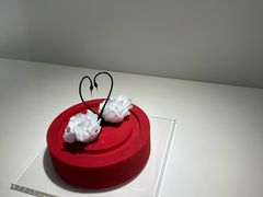 -罗红摄影艺术馆