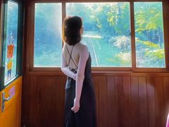 -合肥滨湖国家森林公园