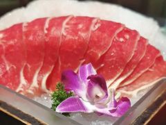 -南门四季铜锅涮肉(望京店)