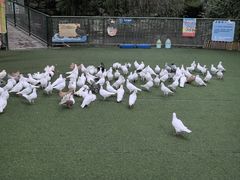 -成都欢乐谷
