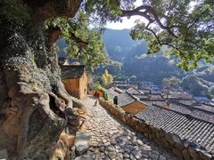 -杨家堂村