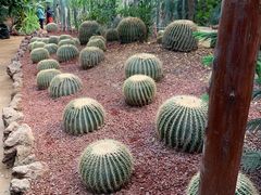 -呀路古热带植物园