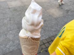 -蜜雪冰城(托乐嘉店)