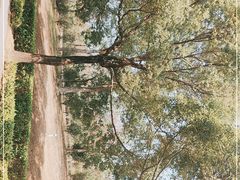 -中国移动南方基地