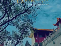 -深圳仙湖植物园