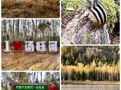 -汤旺河林海奇石景区