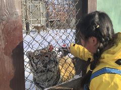 -横道河子东北虎林园