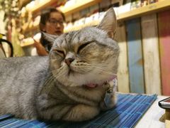 -小时光咖啡馆(开森度假森林店)