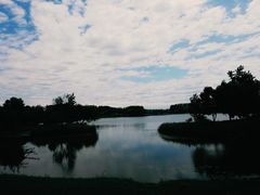 -东郊湿地公园